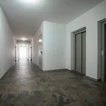 Lejlighed Residencia Bela Vida